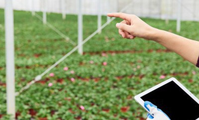 问鼎娱乐官网-不凡成绩非凡,相信品牌的实力