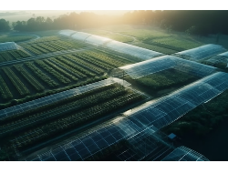 问鼎娱乐官网-不凡成绩非凡,相信品牌的实力