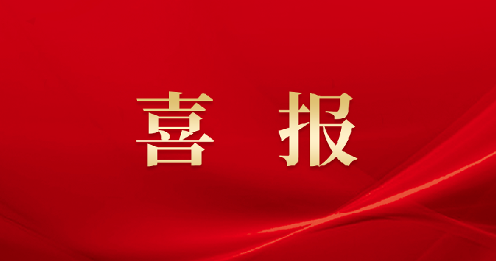 image_1736920836_5191_710x374_4